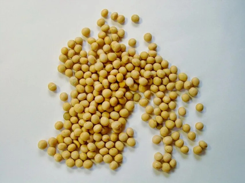 soy