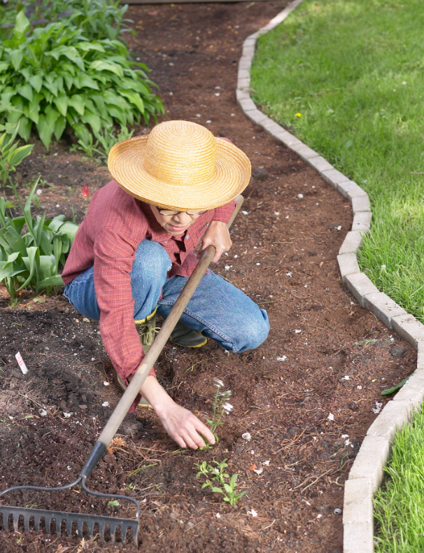 Author planting flower beds