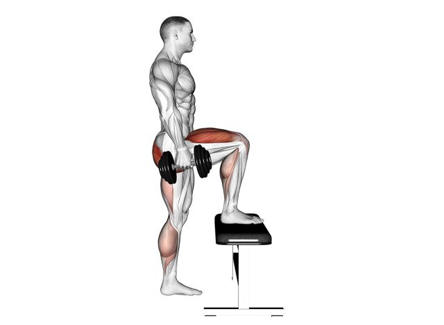 Dumbbell step up. waist exercises. male figure