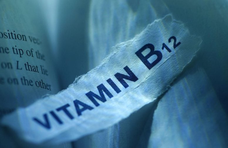 vitamin b12 paper