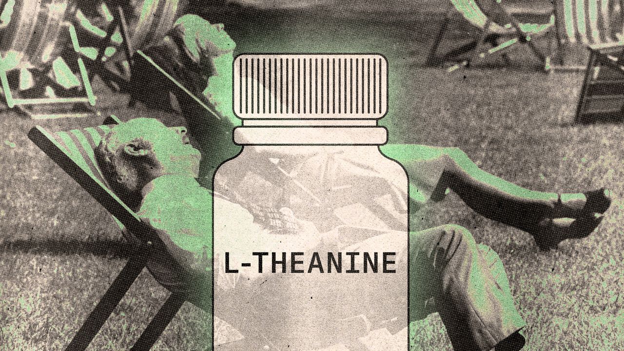 How L-Theanine can calm your mind and bring you better sleep
