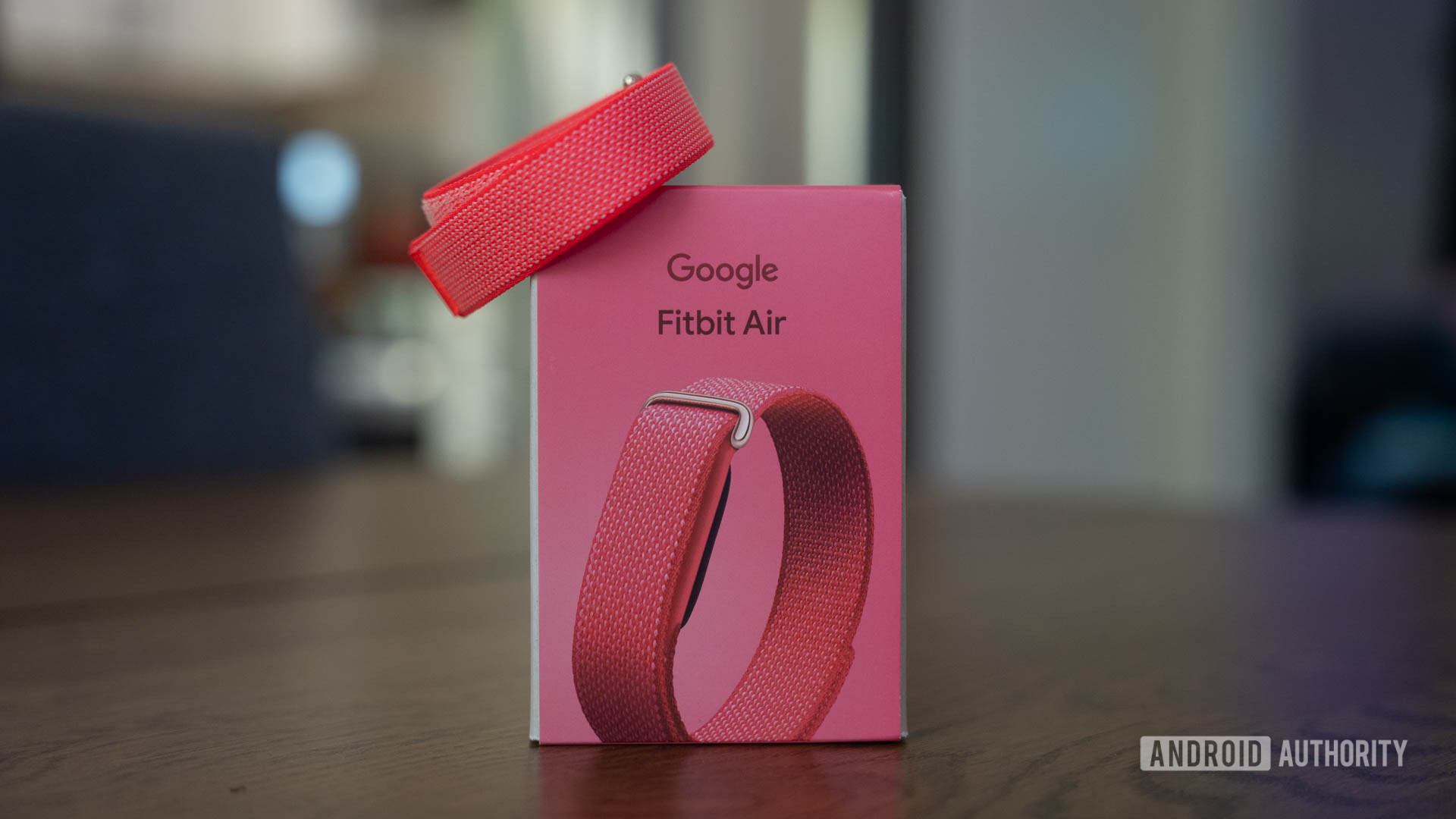 Fitbit Air Berry box with closer