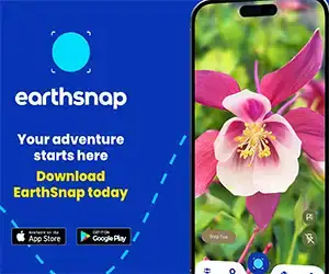 earth snap