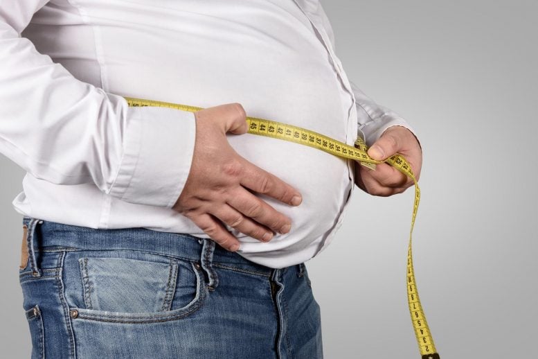 abdominal fat obesity weight loss