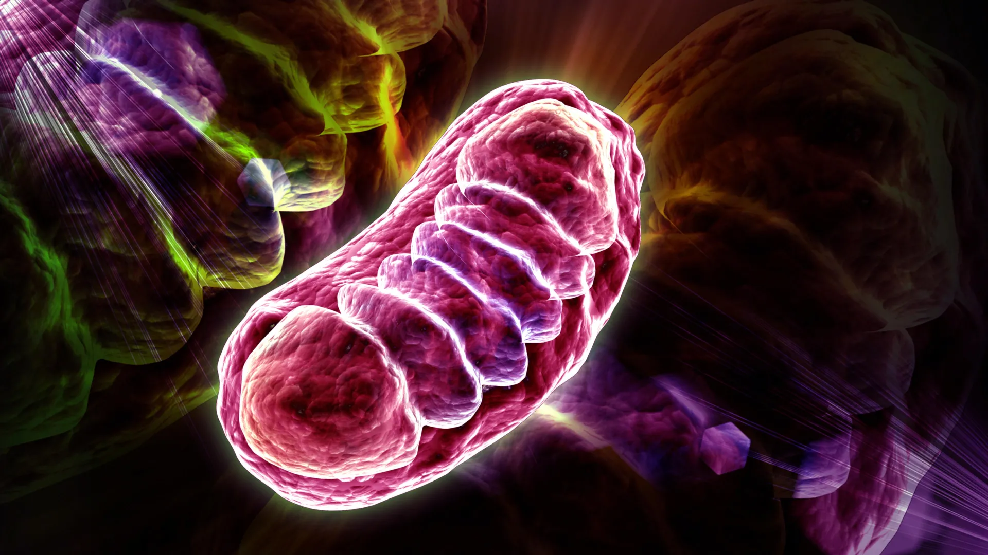 Scientists discover nutrients that can supercharge cellular energy