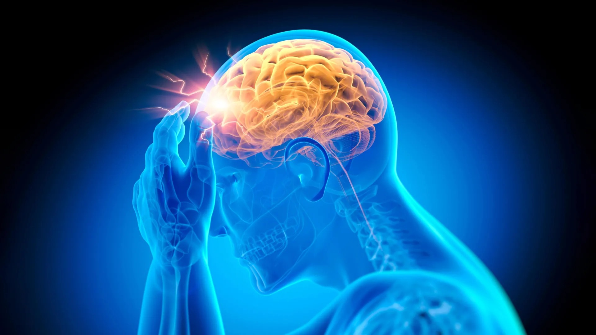 Scientists warn that current vitamin B12 guidelines may be putting the brain at risk