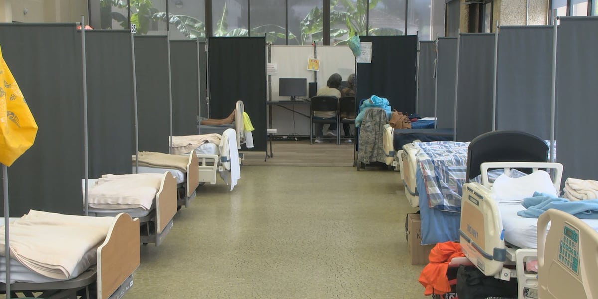 What's hot right now: What's next for Oahu's street mental health crisis response?